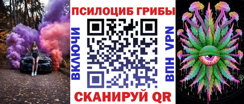 Галлюциногенные грибы Psilocybine cubensis Саянск